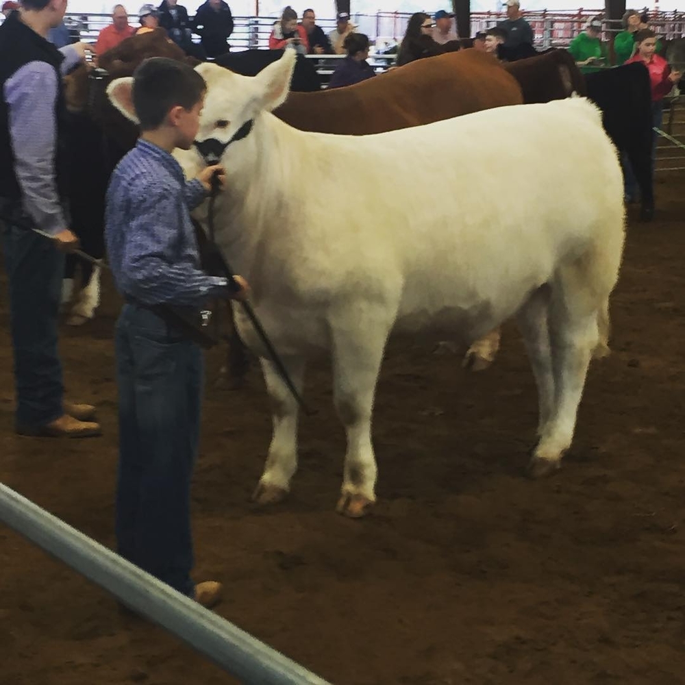 Meet your Posher, Brandonjonie